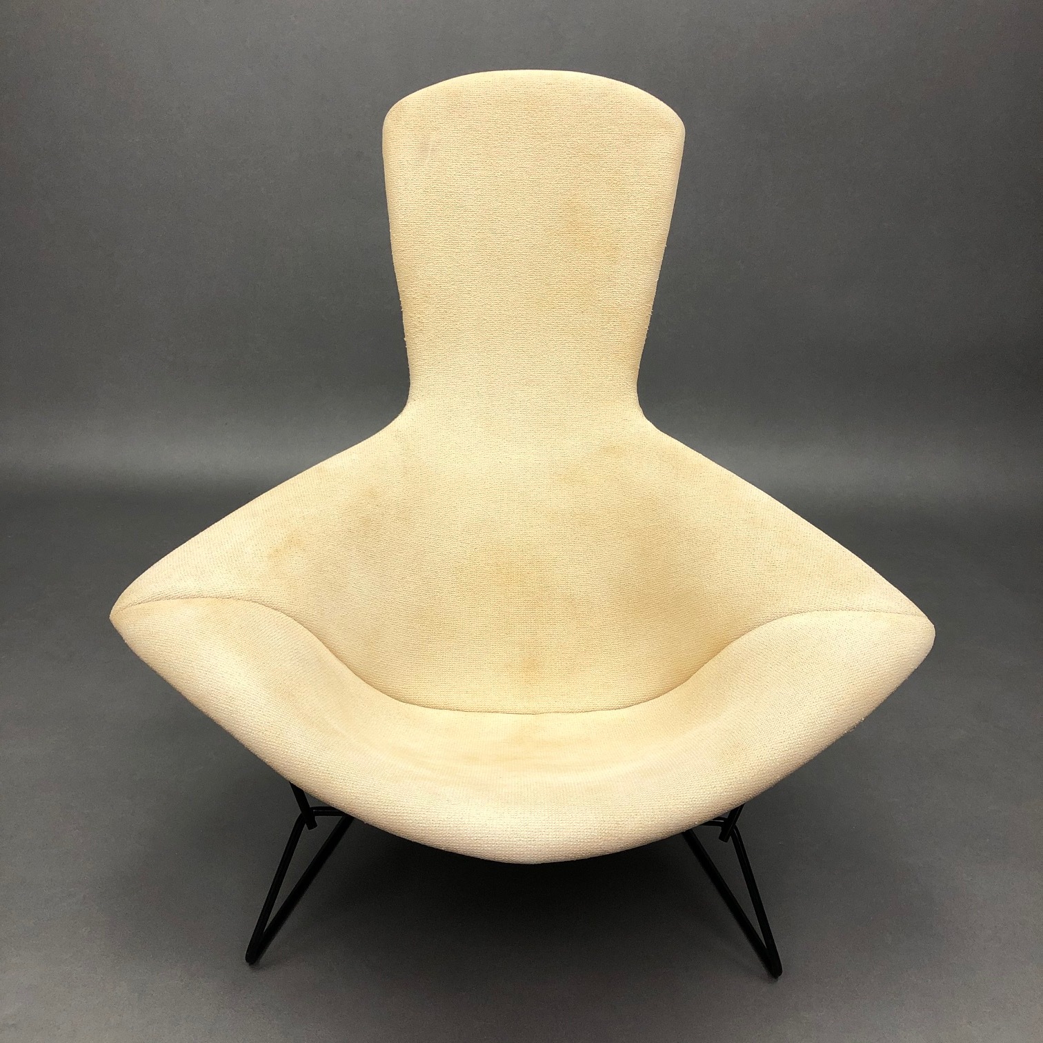 Fauteuil Bird Harry Bertoia Knoll première serie Fauteuil Bird Harry Bertoia Knoll première serie