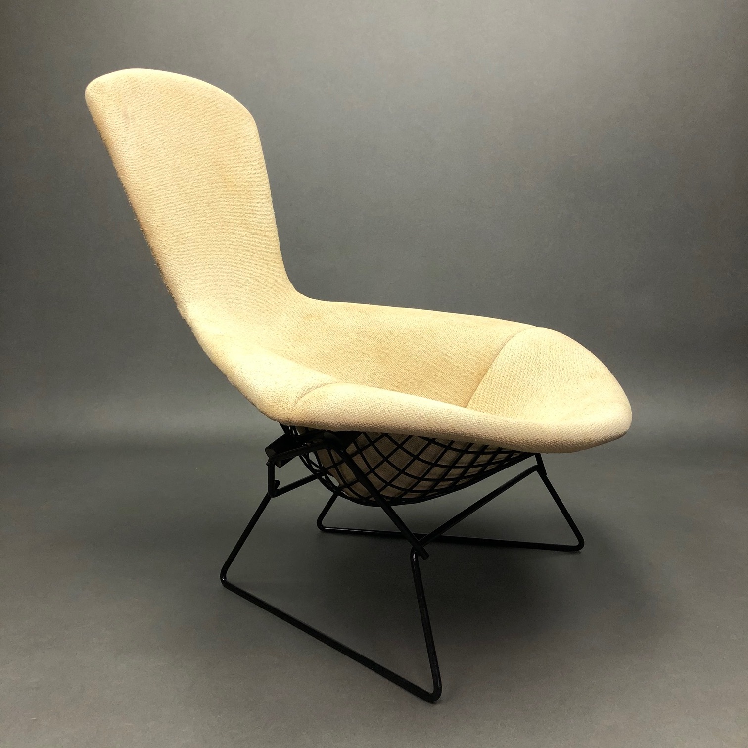 Fauteuil Bird Harry Bertoia Knoll première serie Fauteuil Bird Harry Bertoia Knoll première serie